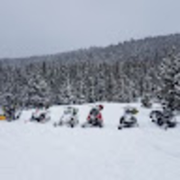 Meet your Posher, Josh - Picture 1 of 1